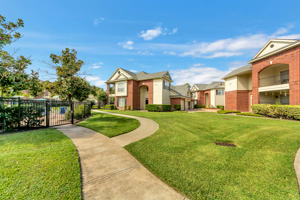 Sprucewood 10
